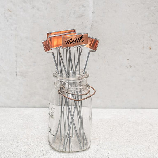 Planting Labels (Set of 10) | Copper