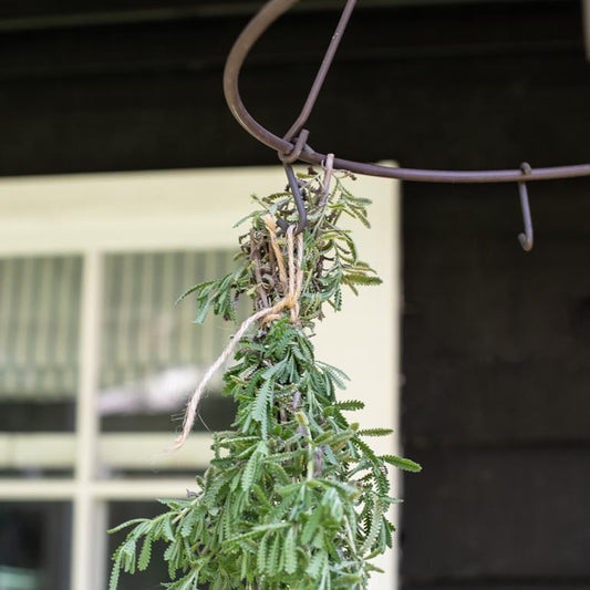 Herb Drying Rack